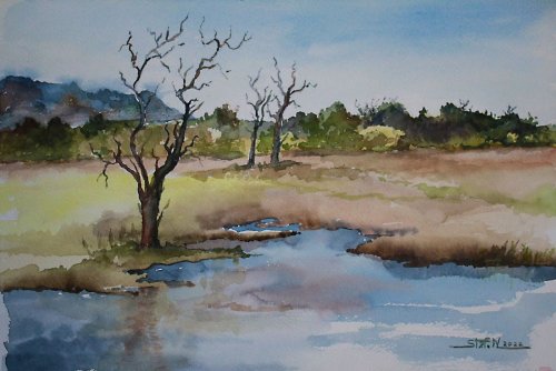 Still Waters